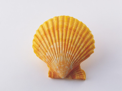 399252 (a): :1600x1200